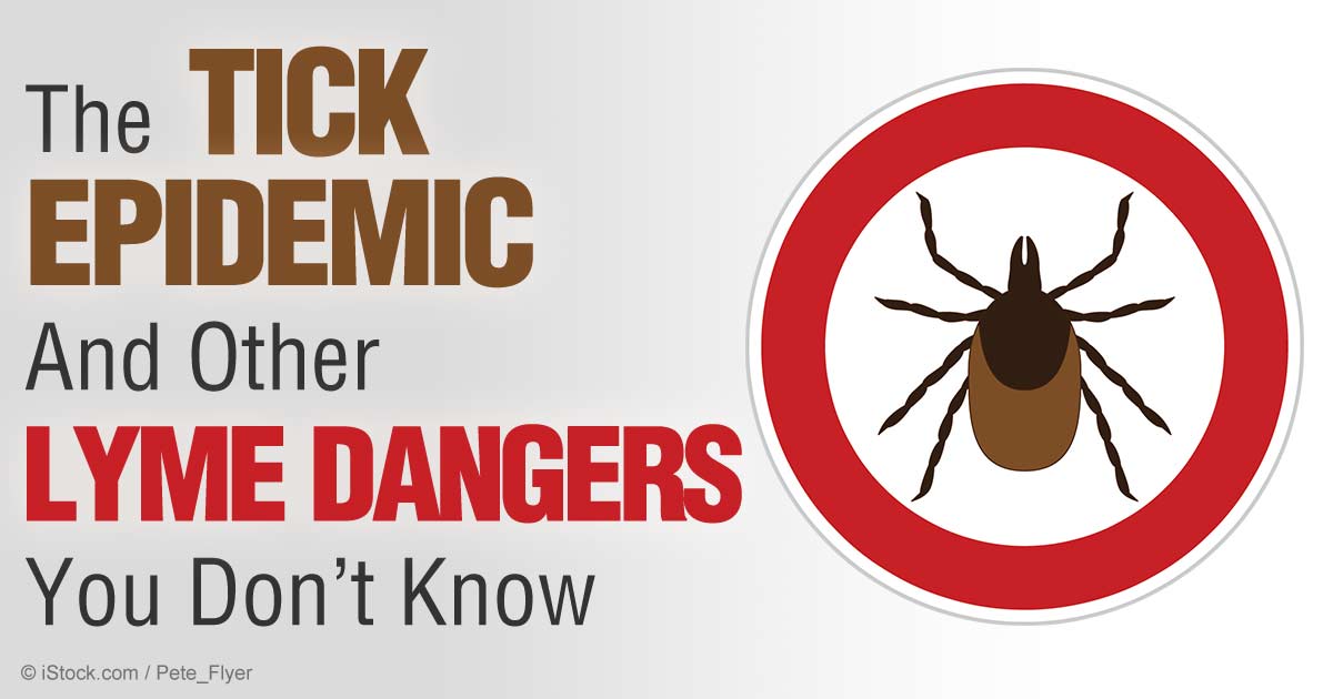 tickepidemiclymedangersfb Stow Kent Animal Hospital Inc.