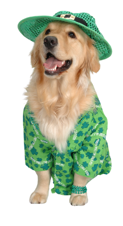 stpatdog2