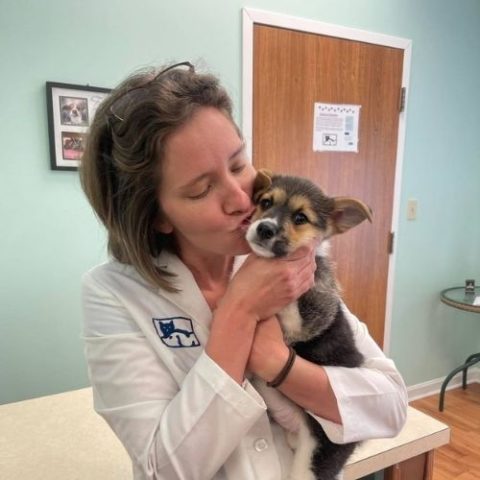 Veterinary Hospitals in Kent, OH 44240 - Stow Kent Animal Hospital Inc.